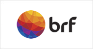 logo brasilfoods